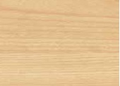 Affinity Maple